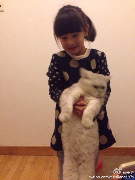 ��Ů�h�ӡ�ɭ������؈���ع�