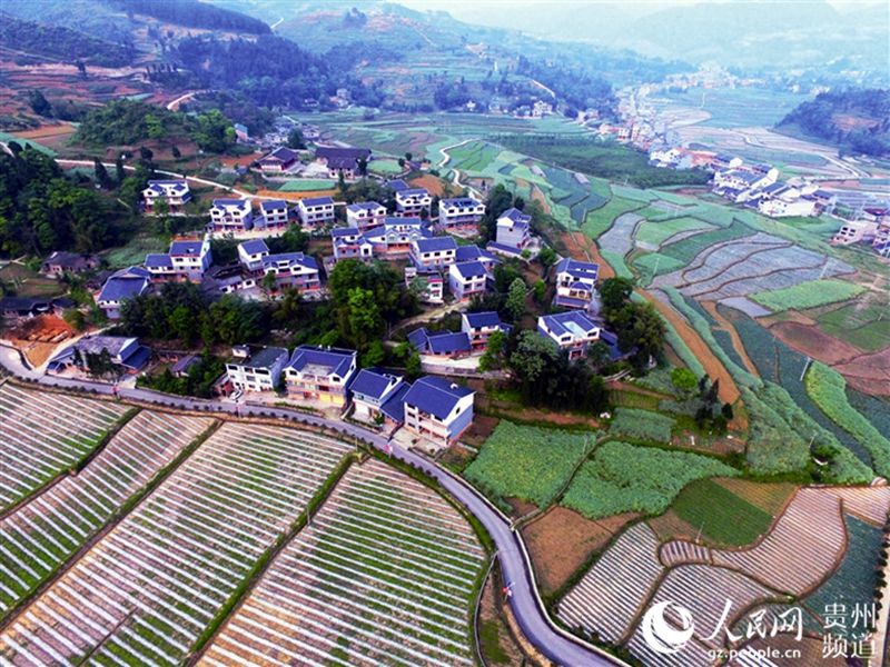 ͩ�����ق}悲�ϼ���f�_�Tӭ��(����M�D)