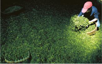 QQ�DƬ20170424155107