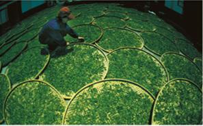 QQ�DƬ20170424155144