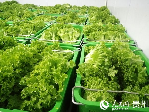 �˴ξ�ٛ���߲���Ҫ�������ġ��_�ġ����˺��㹽�ȡ�Ƥ���� ��