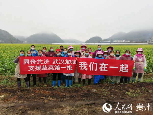 ͬ��ͬ������h���ͣ� Ƥ���� ��