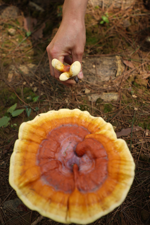 6��6�գ����F��ʡǭ�|�����嶱�������ݵ�կ�h��Ȫ�ֵ��׵ط�ؚ���w�����c�`֥��ֲ���أ����w���f��ף�ڽo�`֥���١�