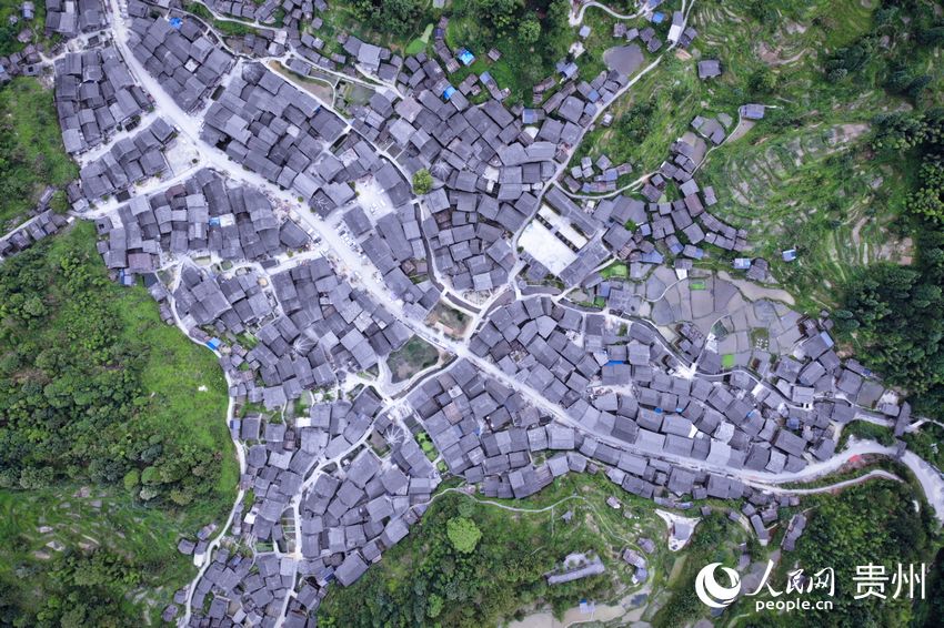 ����S����կ������W(w��ng) �����ܔz