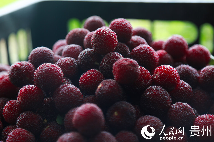 �a�԰���������r��÷������W ���z