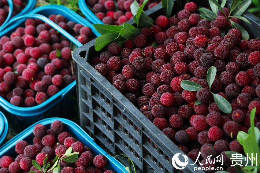 ������F��7000�஀��÷��������W ���z