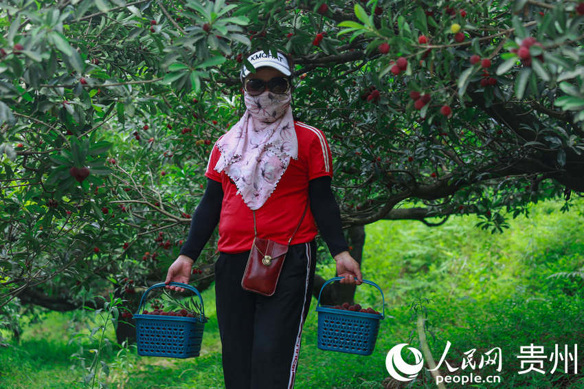 �ο���@��ժ���r��÷������W ���z