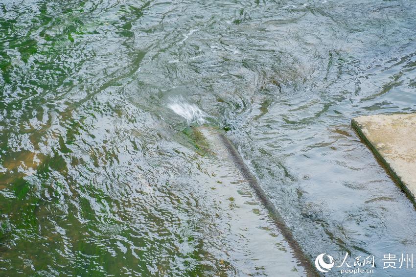 ���^̎��������ˮ�������������B�aˮ������W Ϳ���z