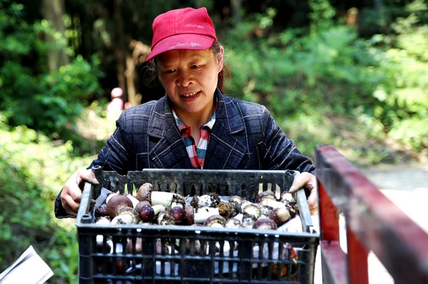 �����ժʳ�þ�����Ӗ�F�z