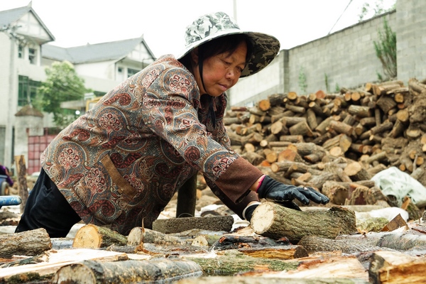 ����ľ���M����������Ӗ�F�z