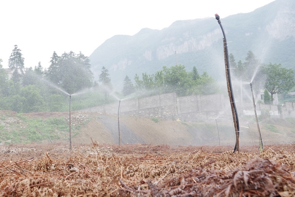 ���؇��F����ϵ�y(t��ng)����Ӗ�F�z