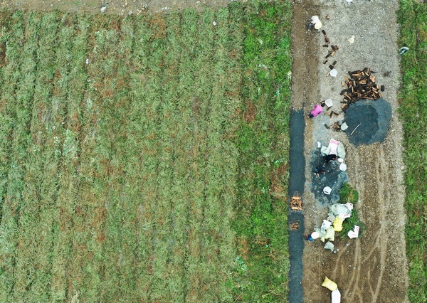 ����Nֲ���غ�������Ӗ�F�z