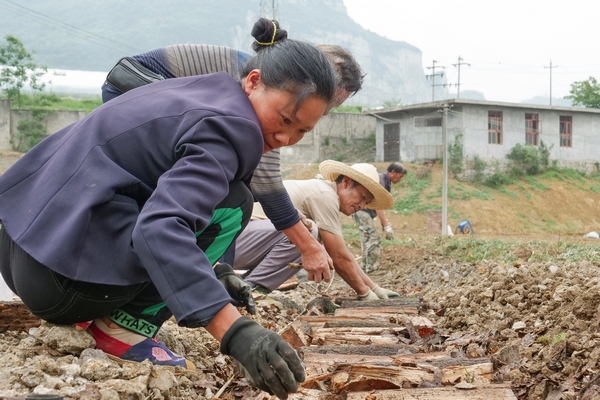 �N�N�[��ľ������Ӗ(x��n)�F�z