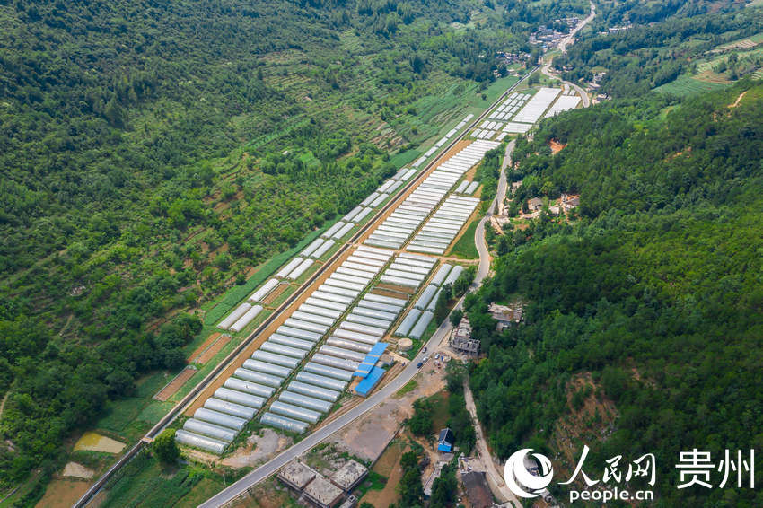 �F���������߲��S�ղ�ժæ �l�����d�a�I��