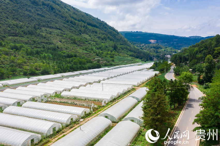 ���ĺ�������߲˷Nֲ�������W Ϳ���z