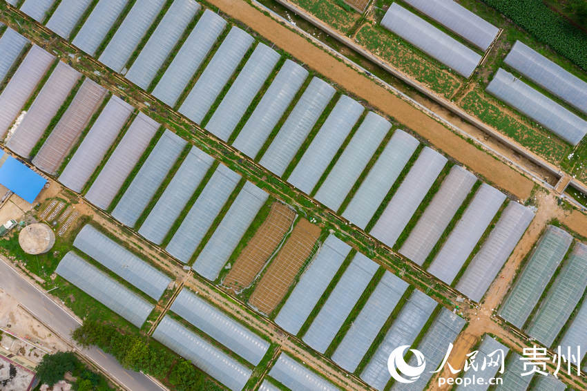 ���ĺ�������߲˷Nֲ�������W Ϳ���z