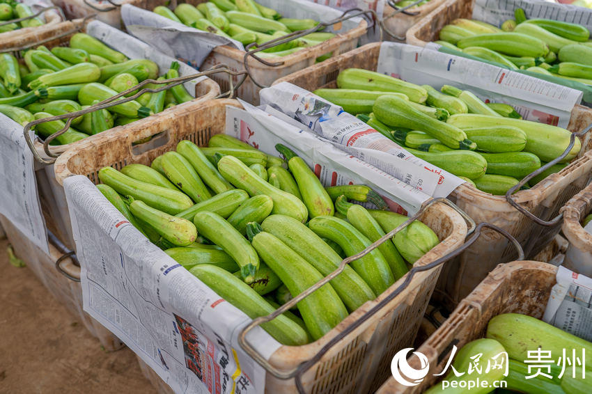 �F(xi��n)ժ�b��������J������W(w��ng) Ϳ���z