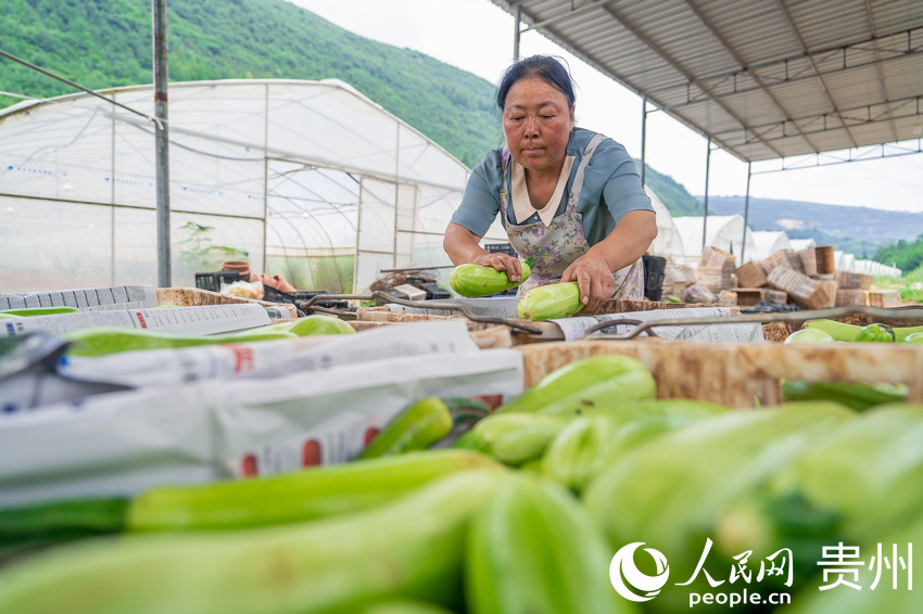 �ں������(n��i)��(w��)���Ĵ��񌢲�ժ���������J����b�䡣����W(w��ng) Ϳ���z