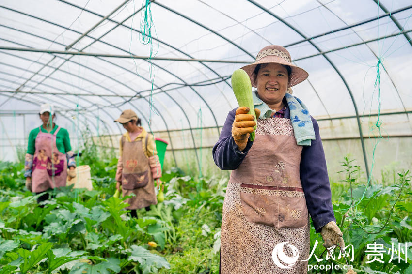 �������ڲ������һ�������J������W Ϳ���z