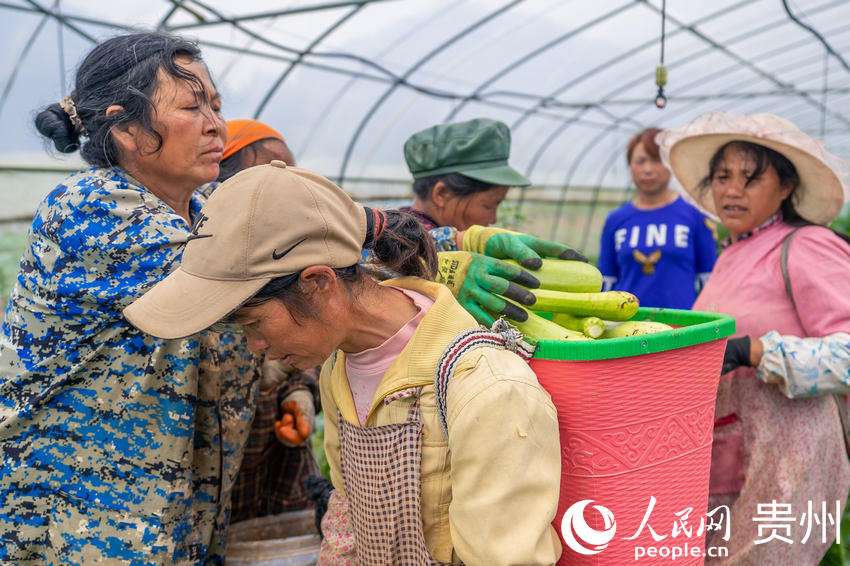 �������ڲ������һ�������J������W Ϳ���z