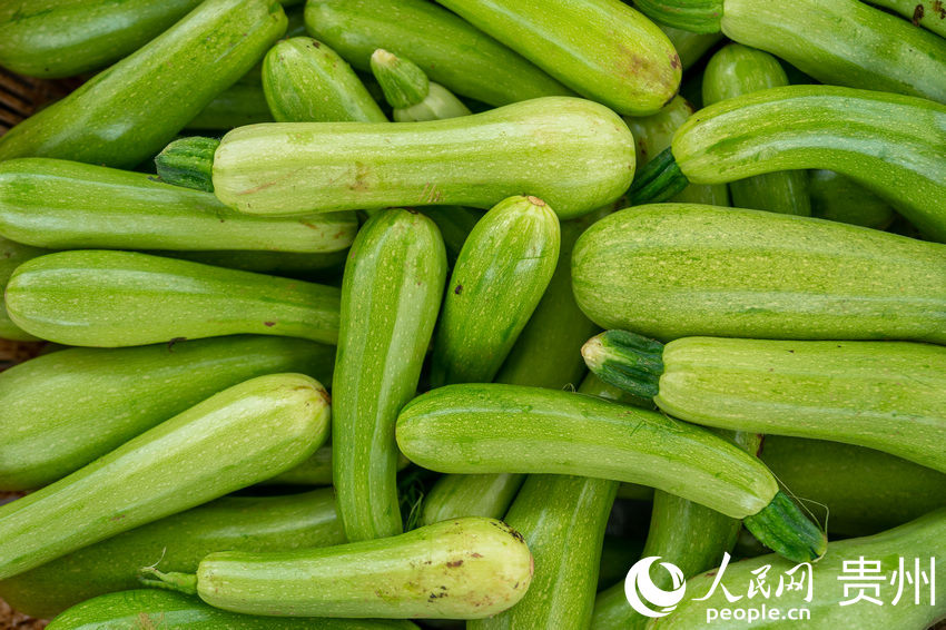 �Fժ�b��������J������W Ϳ���z