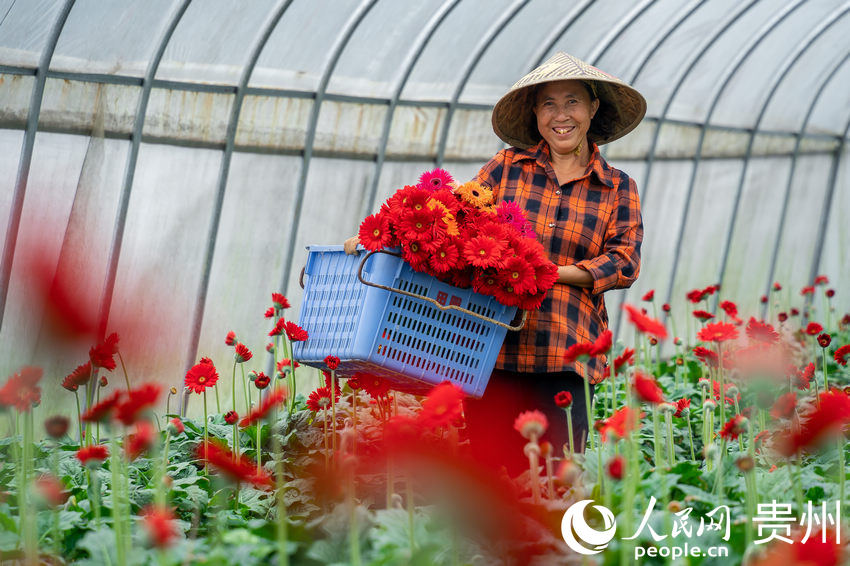 �F��ǭ������ʾջ��b���Ҹ�����