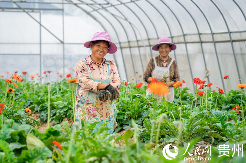 ǭ���к�ˮ��L����^���ܷNֲ���؃Ȅչ��Ĵ�������W Ϳ���z