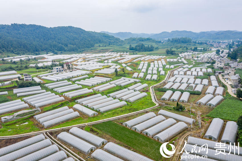 ����ǭ���к�ˮ�(zh��n)�L(zh��ng)����^(q��)���ܷNֲ���ء�����W(w��ng) Ϳ���z