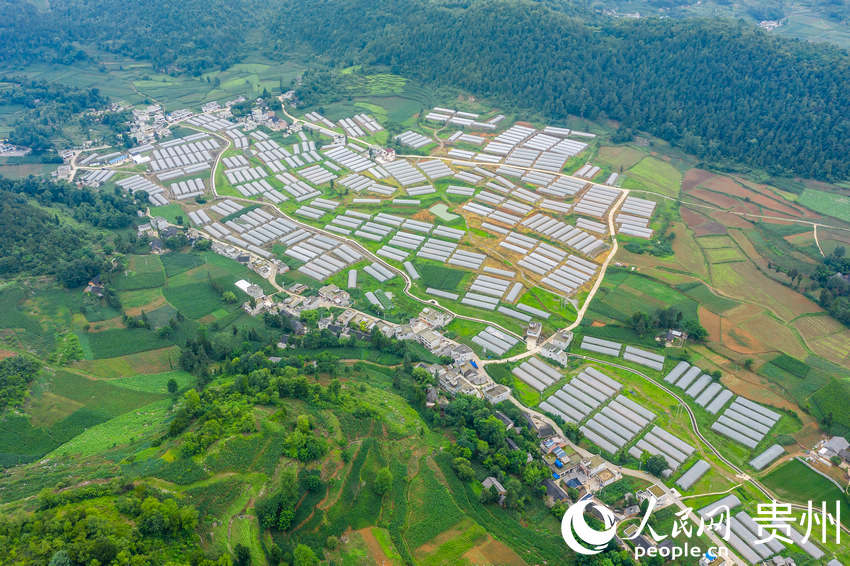 ����ǭ���к�ˮ�(zh��n)�L����^(q��)���ܷNֲ���ء�����W Ϳ���z