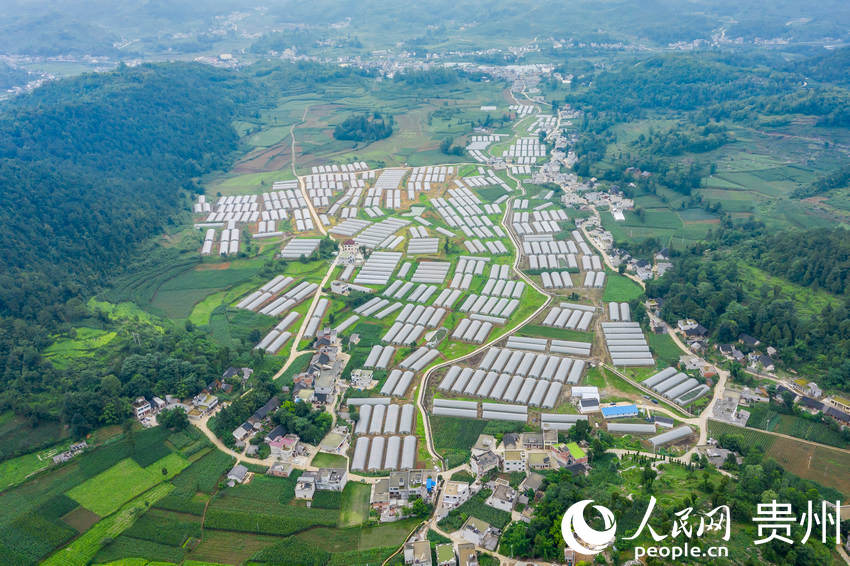 ����ǭ���к�ˮ�(zh��n)�L����^(q��)���ܷNֲ���ء�����W(w��ng) Ϳ���z