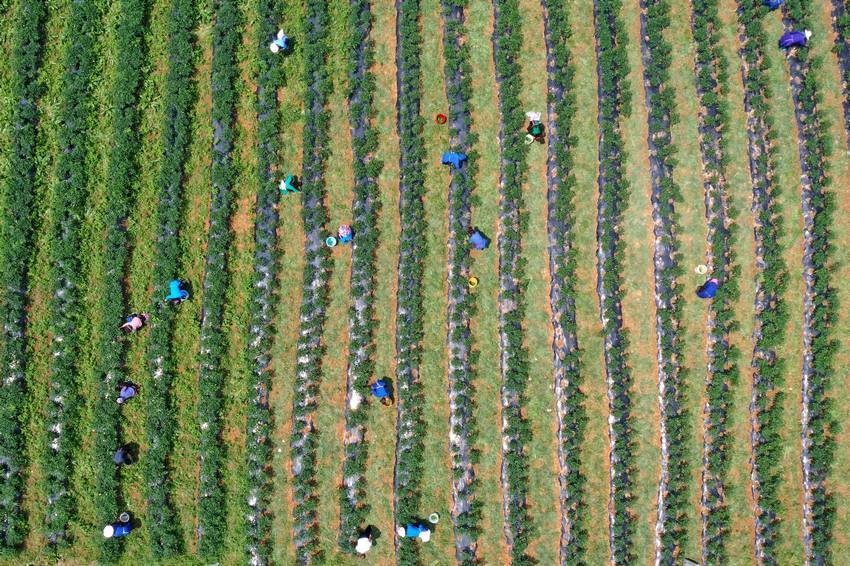 �F�ݡ�ӆ��������ϲ�@�S��