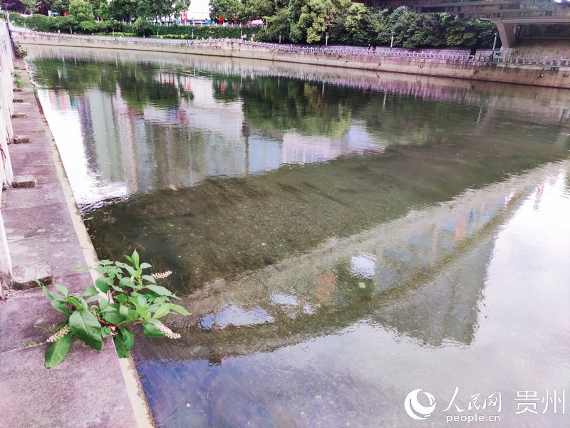 �����������Ҋ�ס�����W(w��ng) �ƽܔz