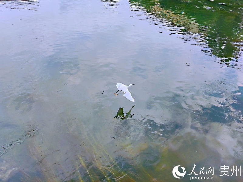 �������ϣ��������档����W �ƽܔz