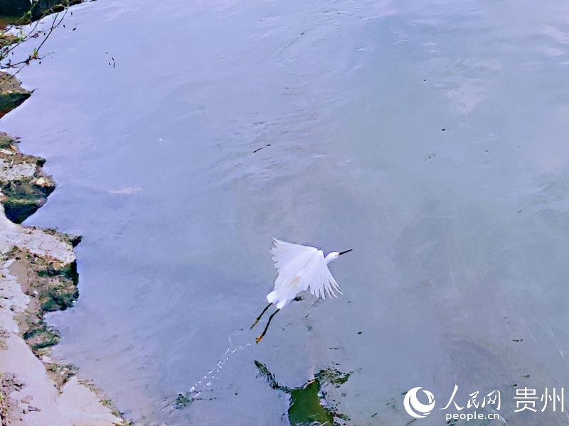 �������ϣ��������档����W(w��ng) �ƽܔz