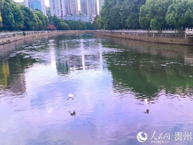 �������ϣ��������档����W �ƽܔz