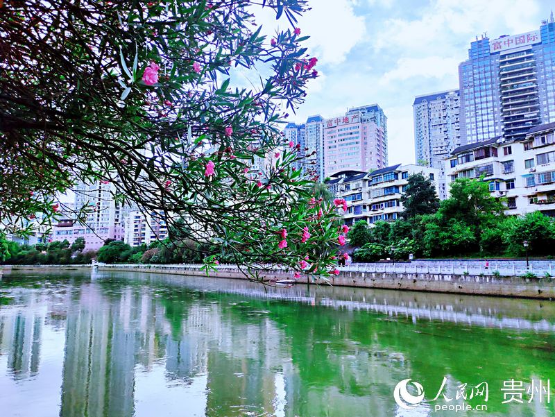 �����ӵ��ɂ��r����Ȼ������W �ƽܔz