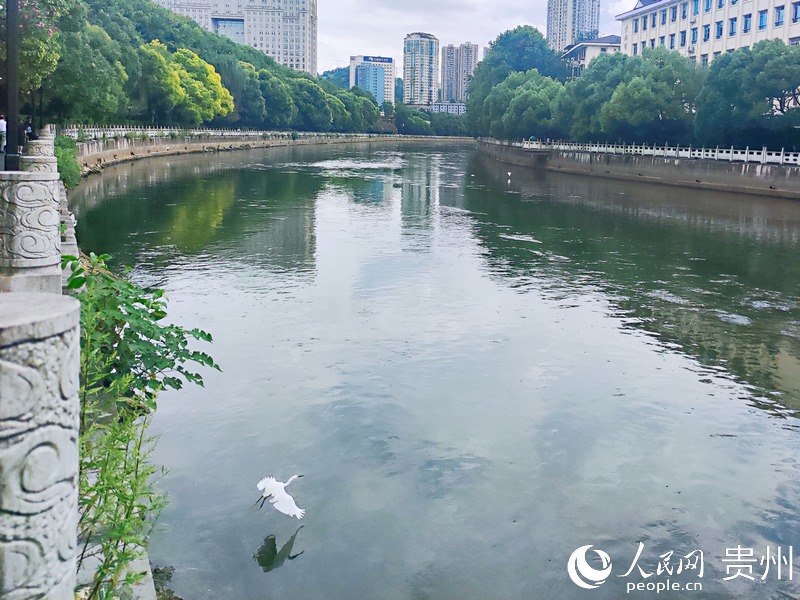 �������ϣ��������档����W �ƽܔz