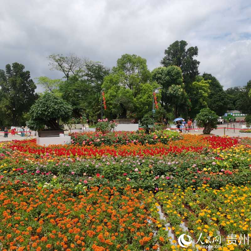 ��Ϫ���@��ʢ�_���¼���������W ꐾ����z