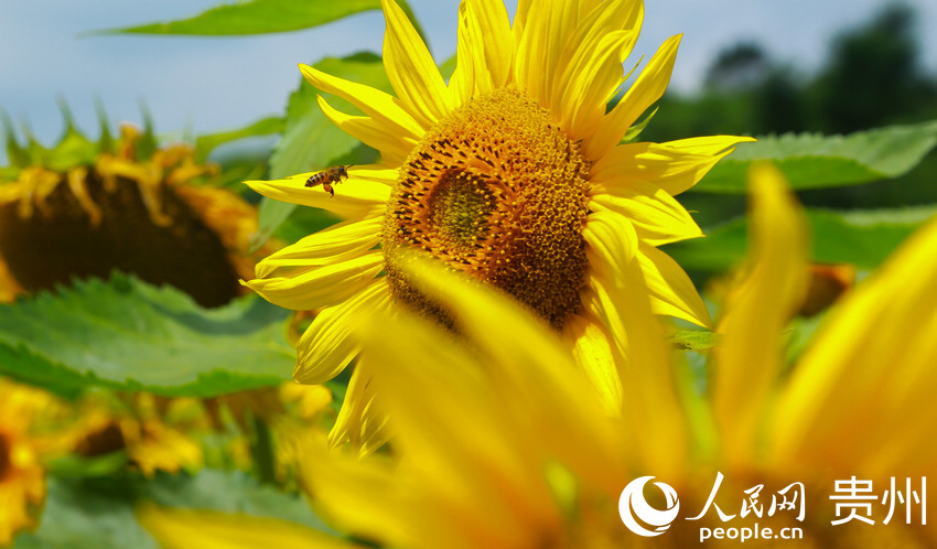 �۷��ڻ��g����������W ���z