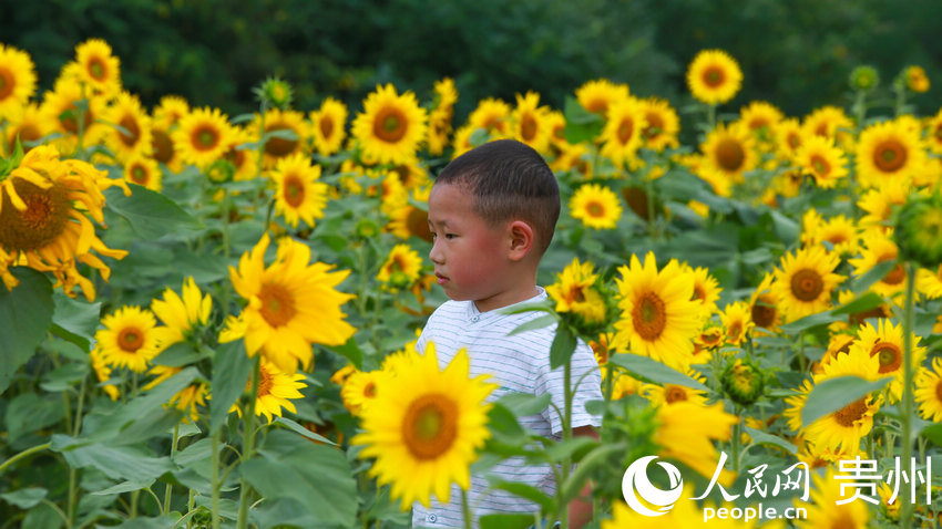 С�����ڻ�������ˣ������W ���z