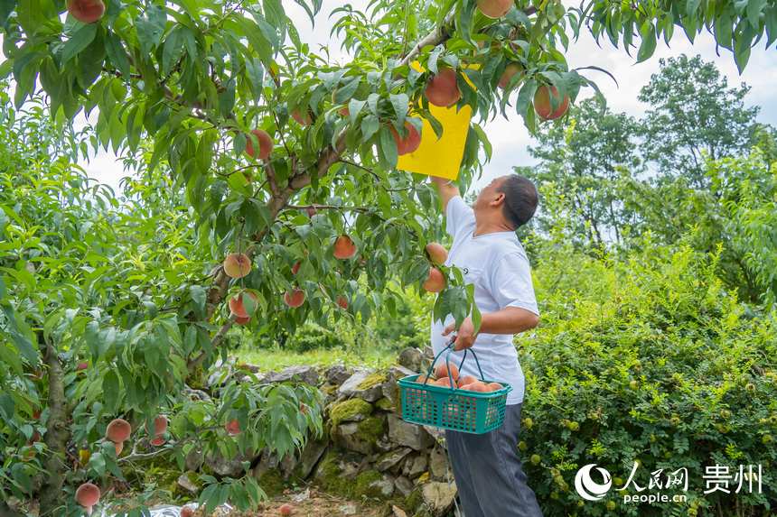 ������������c�����ڞ��οͲ�ժ�G�t�ҡ�����W Ϳ���z