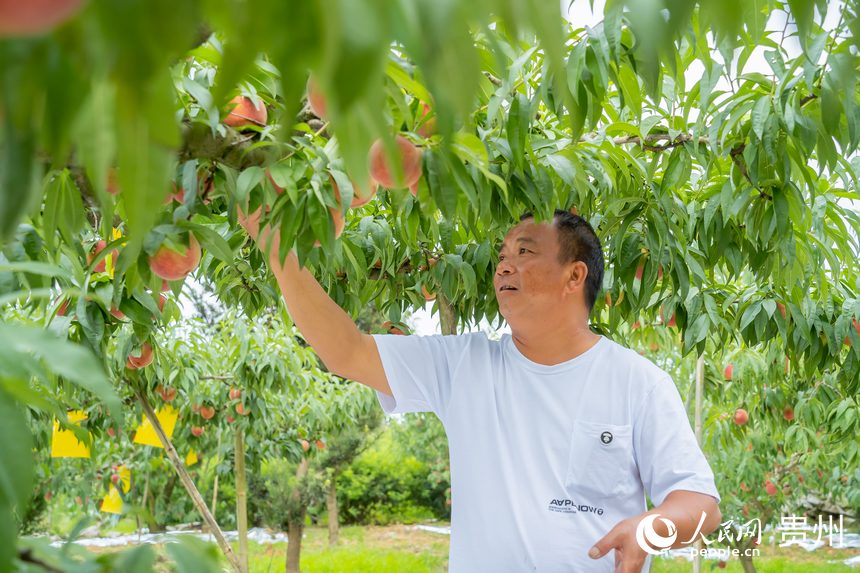 ������������c�����ڞ��οͲ�ժ�G�t�ҡ�����W Ϳ���z