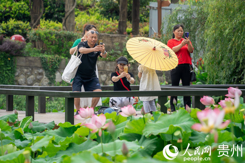 游客在景區(qū)荷花池內游玩、拍照。人民網 涂敏攝