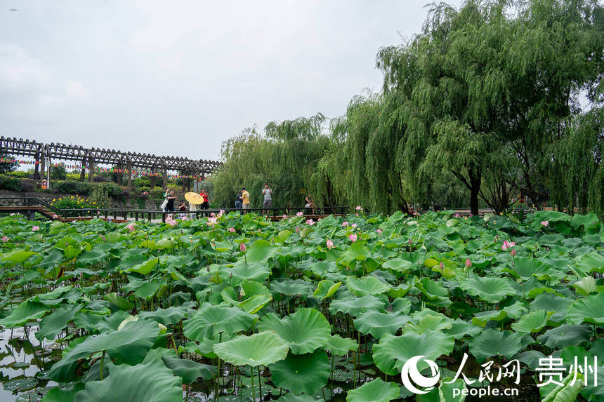 �ο��ھ��^�ɻ��؃����桢���ա�����W Ϳ���z