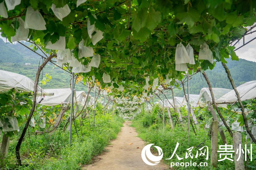 �_ꖿh���S�l�R���rʳ���Ѳ�ժ�^��@�ȼ�����������ѡ�����W Ϳ���z