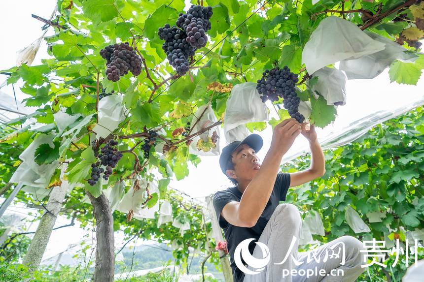 ���ш@����T�����I(y��)�鿴�����L��(sh��)������W(w��ng) Ϳ���z