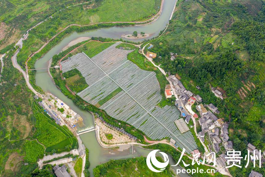 �����_ꖿh���S�l�R���rʳ���Ѳ�ժ�^��@������W Ϳ���z