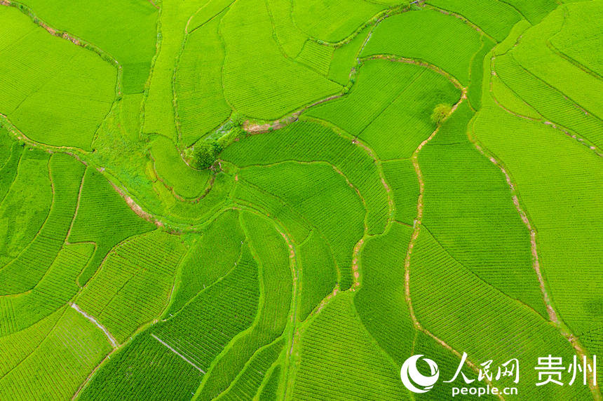 ���箋���ĵ׸C�ε������W Ϳ���z