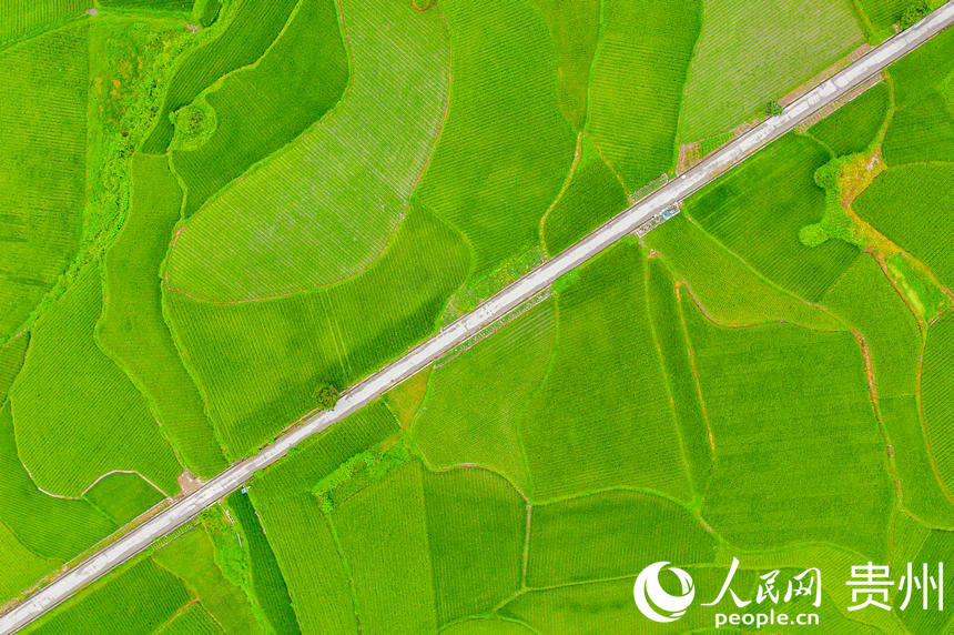 ���^������l��С·������W Ϳ���z