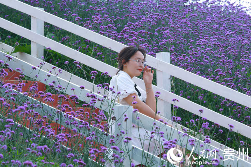 �F��ʡ�F��л�Ϫ�^��픻���������W ���z